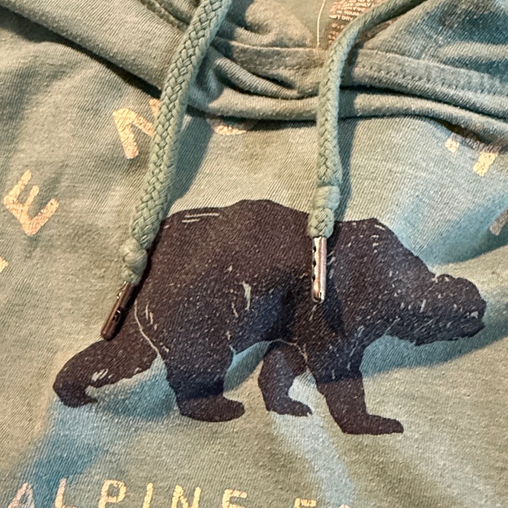 The North Face Women’s Teal Hoodie Sweater - Picture 3 of 4